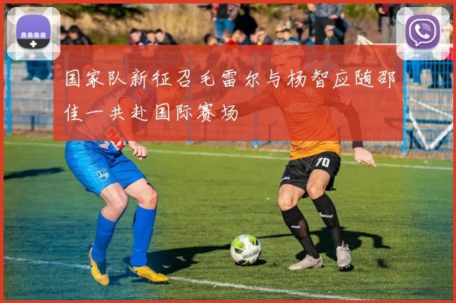 国家队新征召毛雷尔与杨智应随邵佳一共赴国际赛场